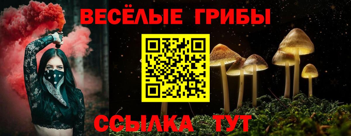 купить  цена  Вход с VPN  Усть-Джегута  Псилоцибиновые грибы Magic Shrooms 